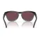 Oakley Frogskins range solbriller