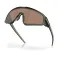 Oakley Latch panel zonnebril
