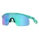 Oakley Resistor zonnebril
