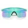 Oakley Resistor aurinkolasit