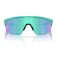 Oakley Resistor solbriller