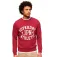 Superdry Athletic Printed sweatshirt