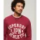 Superdry Athletic Printed sweatshirt