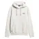 Superdry Essential Logo hoodie