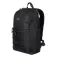 Element Infinity Skate backpack