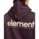Element Simple Logo hættetrøje