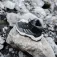 adidas Terrex AX4R Mid hiking shoes