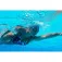 Zoggs Masterback badetøy
