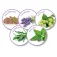 Beaphar No Stress pack diffuser and replacement 30ml