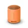 Sony Altaveu Bluetooth XB100