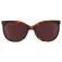 Pit viper The landlocked the fondue sunglasses