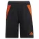 adidas Tiro 24 shorts