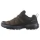 Salomon Sapatos de caminhada X Ultra 360 Ltr Goretex