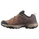 Salomon X Ultra 360 Ltr hiking shoes