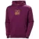 Helly hansen Graphic kapuzenpullover