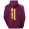 Helly hansen Graphic kapuzenpullover