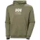 Helly hansen Graphic kapuzenpullover