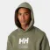 Helly hansen Sudadera con capucha Graphic