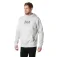 Helly hansen Graphic Hettegenser