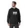 Helly Hansen Logo 2.0 hoodie