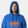 Helly hansen Sudadera con capucha Logo 2.0