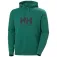 Helly hansen Logo 2.0 kapuzenpullover