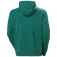 Helly hansen Logo 2.0 hoodie