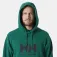 Helly hansen Logo 2.0 hoodie