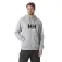 Helly hansen Logo 2.0 kapuzenpullover