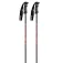 Gabel Bastoncini Rental composite sr