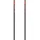Gabel Bastons Rental composite sr
