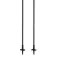 Gabel Bastones Rental composite sr