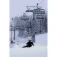 Extrem skis Sci alpini Project 91