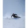 Extrem skis Project 91 알파인 스키