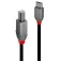 Lindy USB-C til USB-B-kabel 2 m
