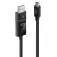 Lindy 4K60 DisplayPort USB c 어댑터