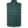Hackett Colete HM403221