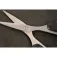 Carp expert Scissors