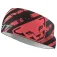 Dynafit Graphic Performance headband