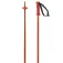 Salomon Bastons Polar