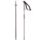 Salomon Bastons Polar