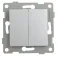 Onlex Dubbele commutator 10A 250V