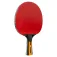 Joola Carbon Control table tennis racket