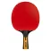 Joola Carbon Control table tennis racket
