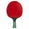 Joola Mega Carbon table tennis racket