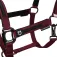 Equestro Capezza Elegance