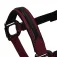 Equestro Elegance Grime