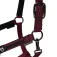 Equestro Elegance Grime
