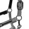 Equestro Elegance Halfter