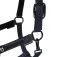 Equestro Elegance Grimmor